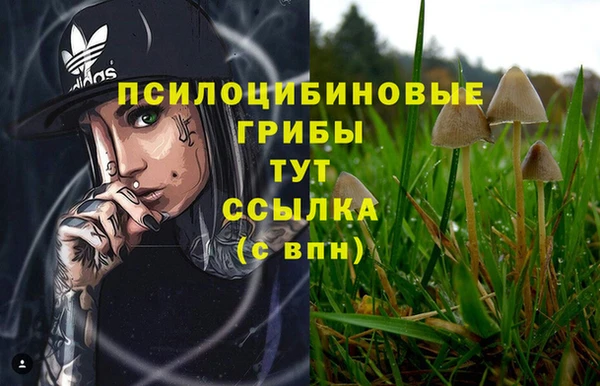 ГАЛЛЮЦИНОГЕННЫЕ ГРИБЫ Алзамай