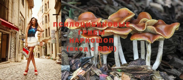 ГАЛЛЮЦИНОГЕННЫЕ ГРИБЫ Алзамай