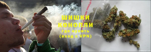 ГАЛЛЮЦИНОГЕННЫЕ ГРИБЫ Алзамай